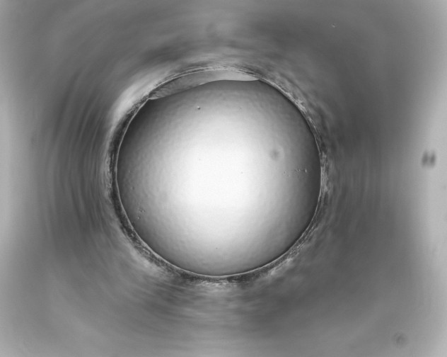 X0000093620245200710291232