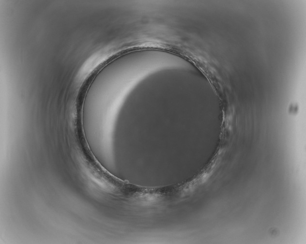 X0000093620247200710291232