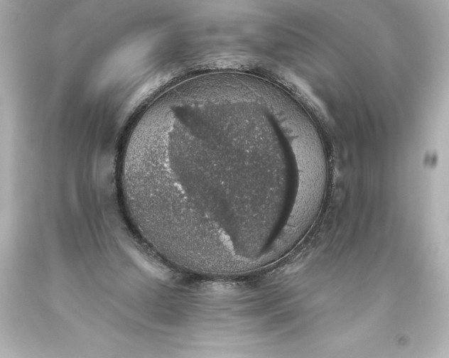 X0000093620250200710291232