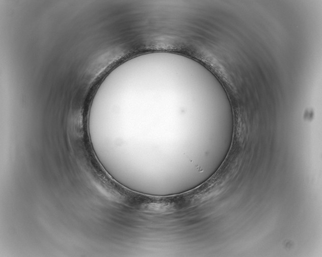 X0000093620251200710291232