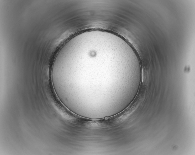 X0000093620253200710291232