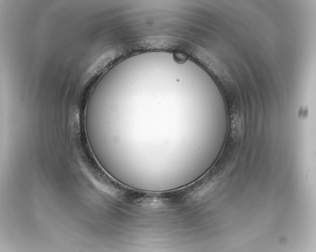 X0000093620254200710291232