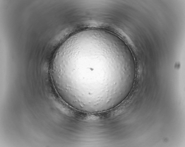 X0000093620257200710291232