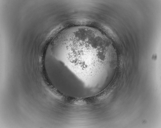 X0000093620258200710291232