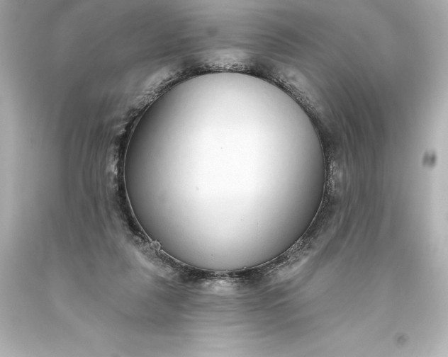 X0000093620259200710291232