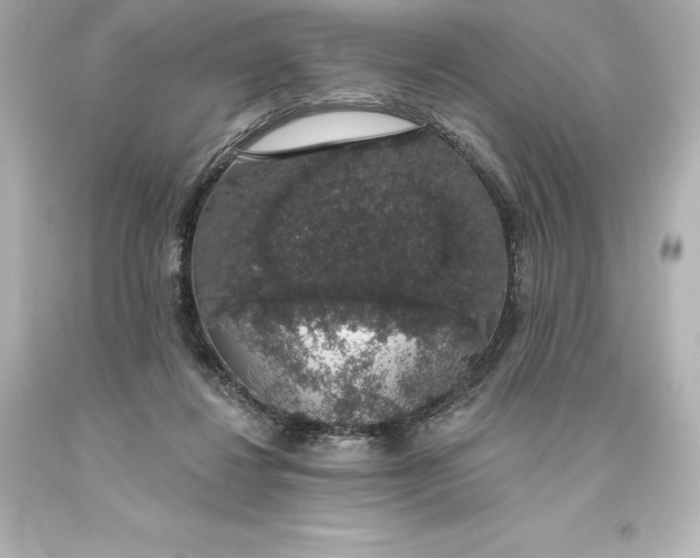 X0000093620260200710291232
