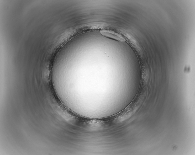 X0000093620261200710291232