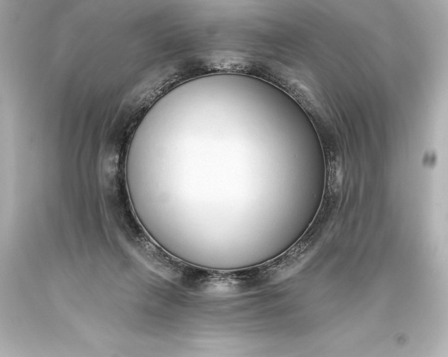 X0000093620263200710291232