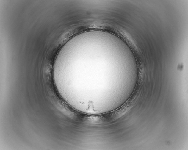 X0000093620265200710291232