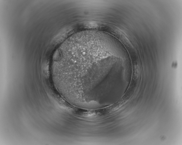 X0000093620267200710291232