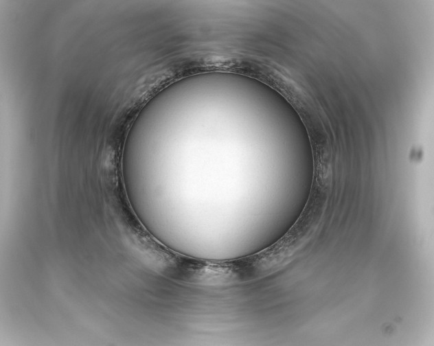 X0000093620270200710291232