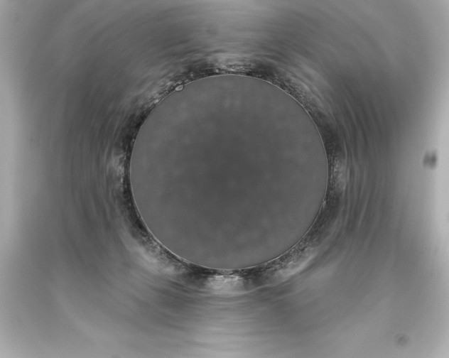 X0000093620271200710291232