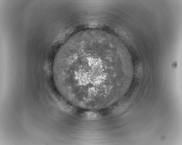 X0000093620272200710291232