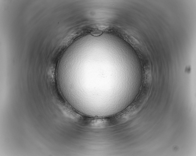 X0000093620274200710291232