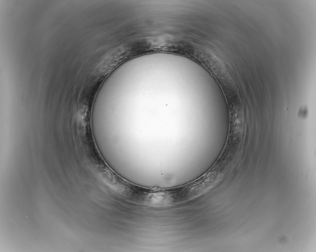 X0000093620275200710291232