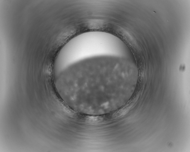 X0000093620277200710291232