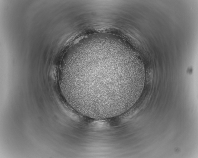 X0000093620280200710291232