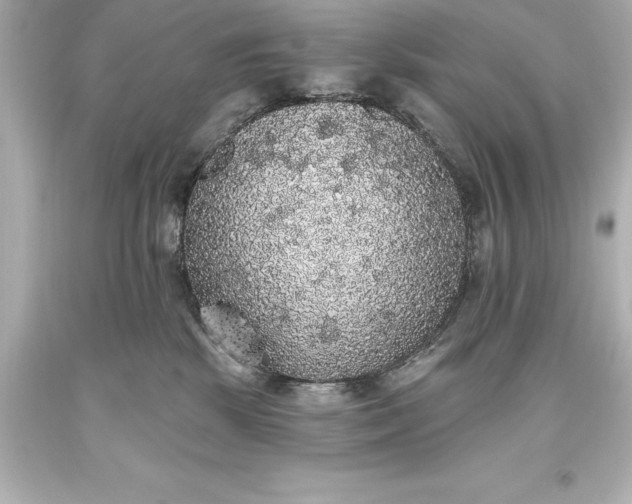 X0000093620281200710291232
