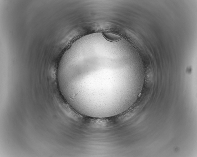 X0000093620282200710291232