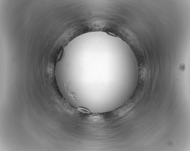 X0000093620283200710291232