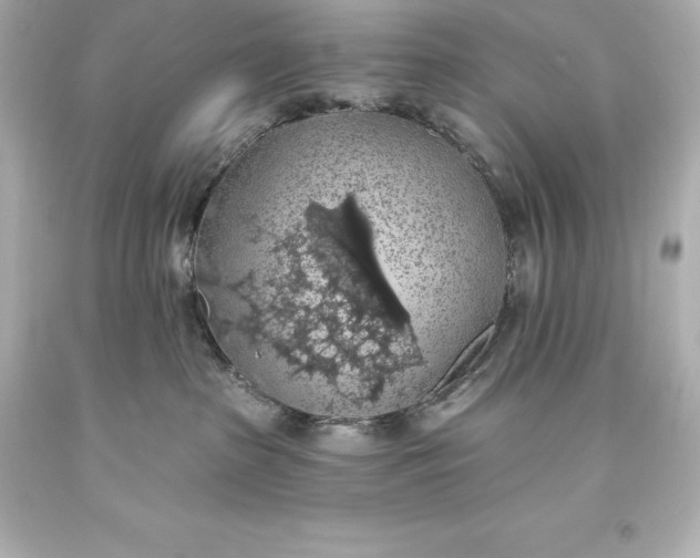 X0000093620285200710291232