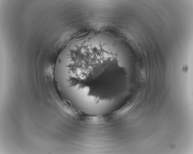 X0000093620286200710291232