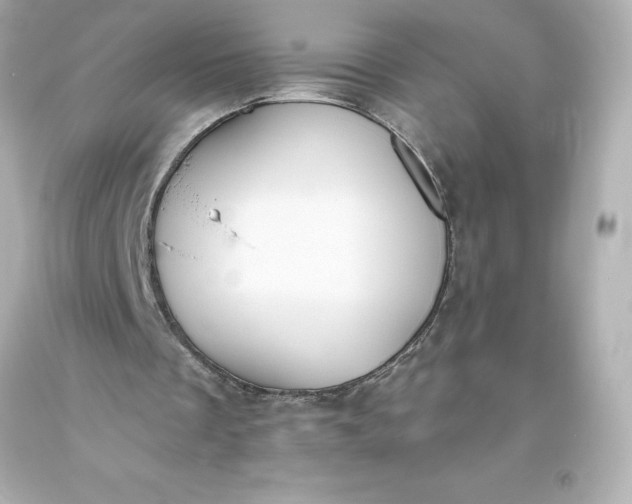 X0000093620289200710291232