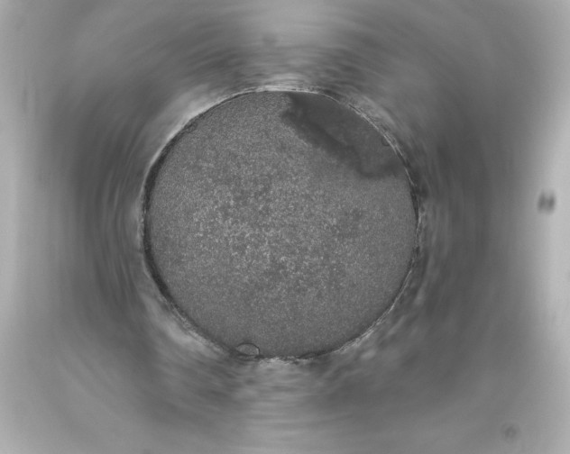 X0000093620290200710291232