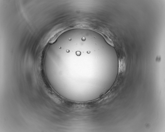 X0000093620291200710291232