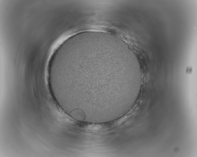 X0000093620294200710291232