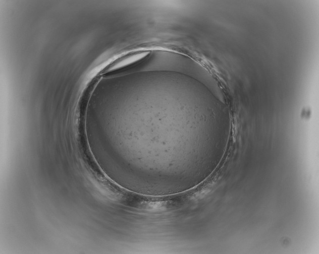 X0000093620295200710291232