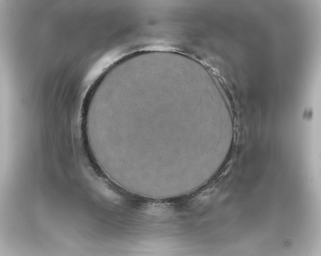 X0000093620296200710291232