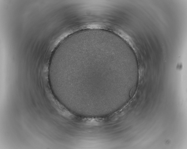 X0000093620297200710291232