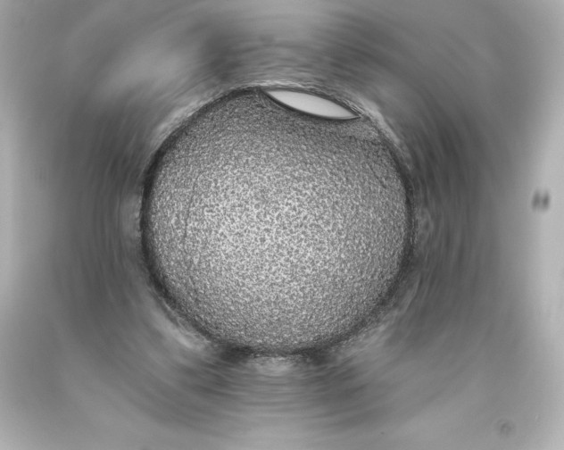 X0000093620299200710291232