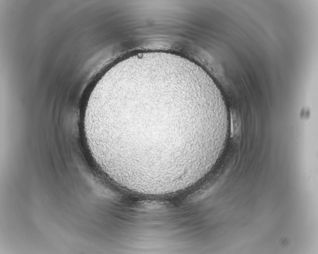 X0000093620300200710291232