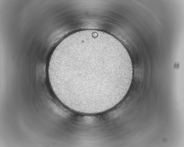 X0000093620302200710291232