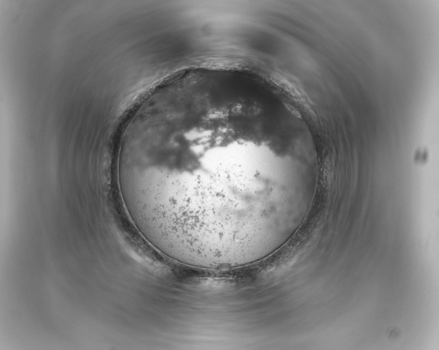 X0000093620303200710291231