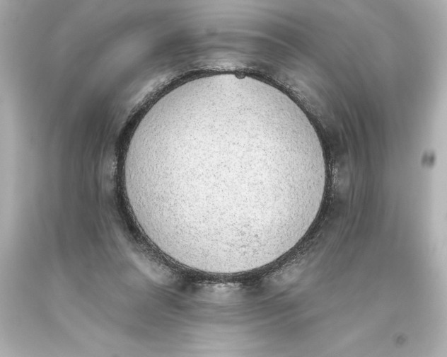 X0000093620304200710291231