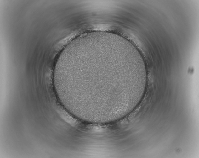 X0000093620305200710291231