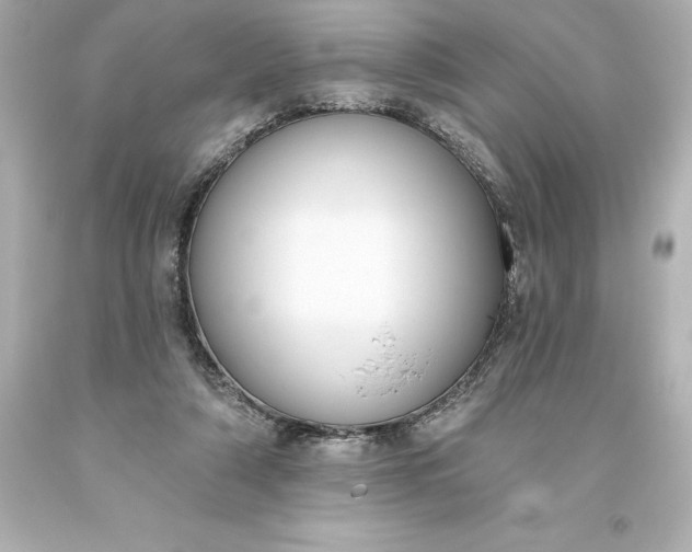 X0000093620306200710291231