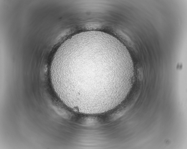 X0000093620308200710291231