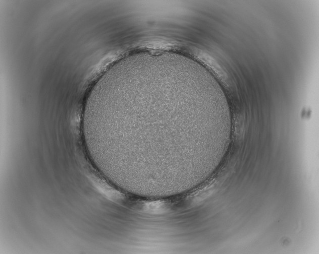 X0000093620309200710291231