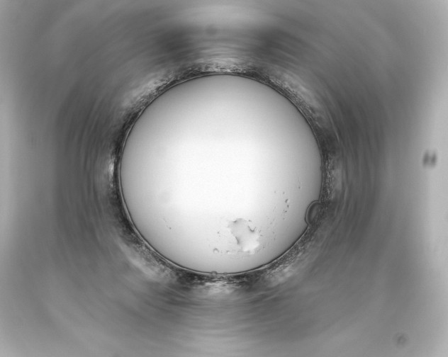 X0000093620310200710291231