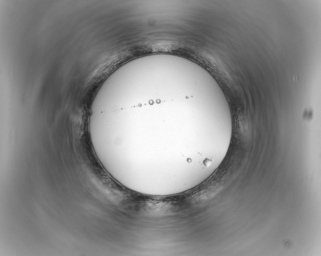 X0000093620311200710291231