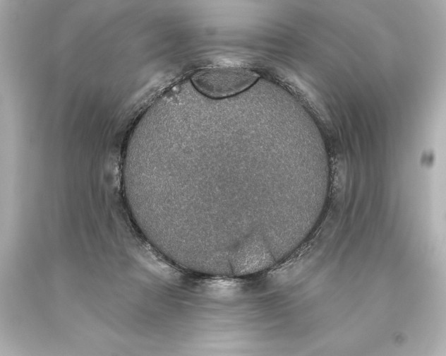 X0000093620313200710291231