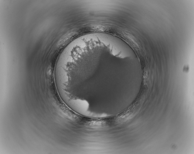 X0000093620314200710291231
