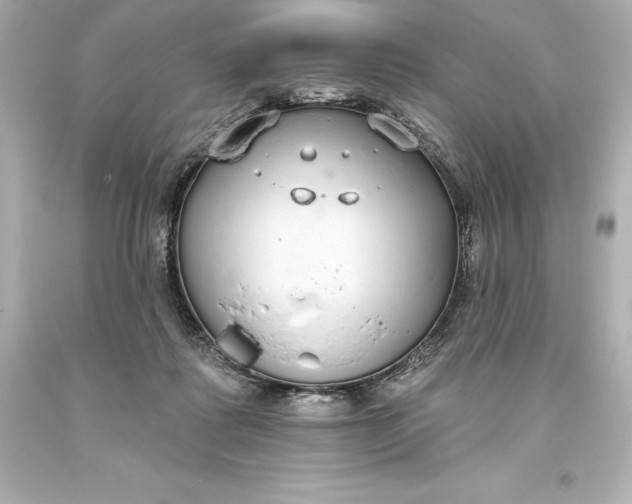 X0000093620315200710291231