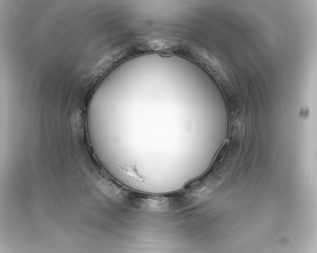 X0000093620317200710291231