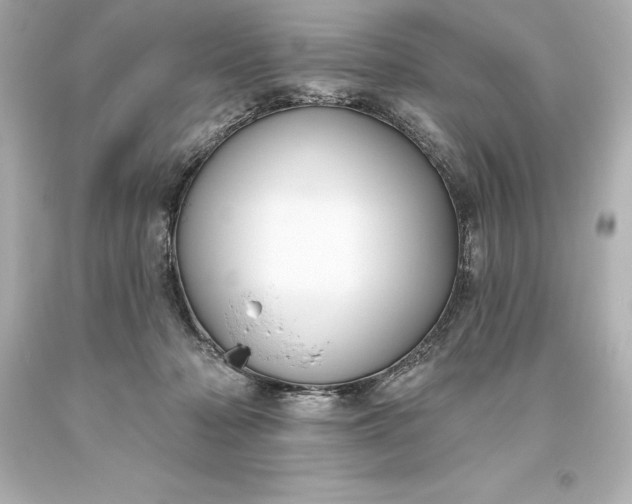 X0000093620318200710291231