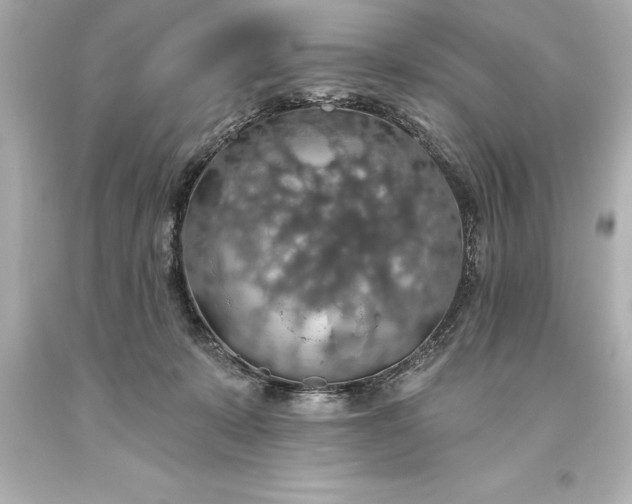 X0000093620319200710291231